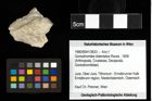 Foto (Objekt + Etiketten) von Goniodromites bidentatus (Reuss, 1858) 